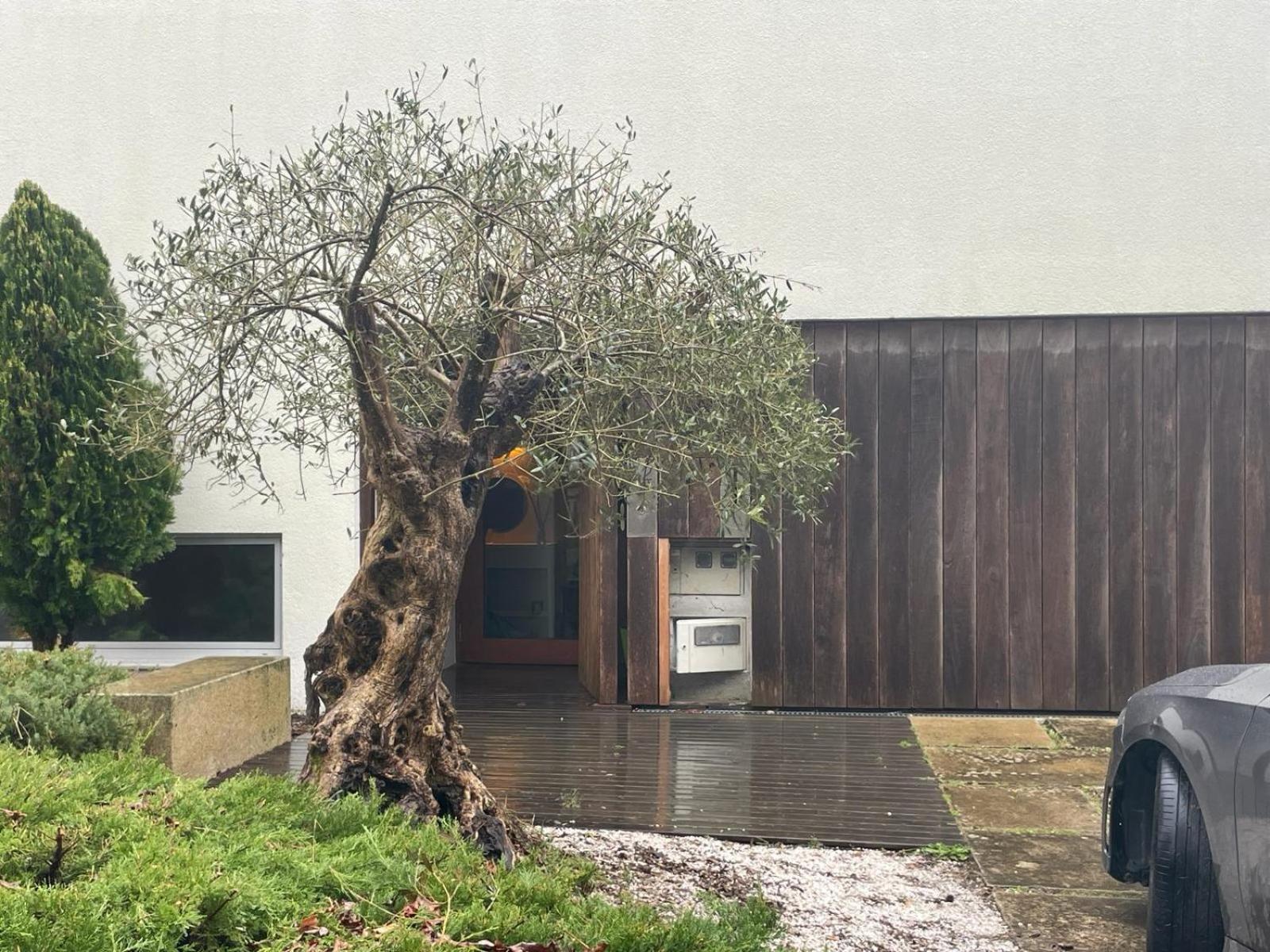 דירות סנטיאגו דה קומפוסטלה Gloria'S Design House מראה חיצוני תמונה